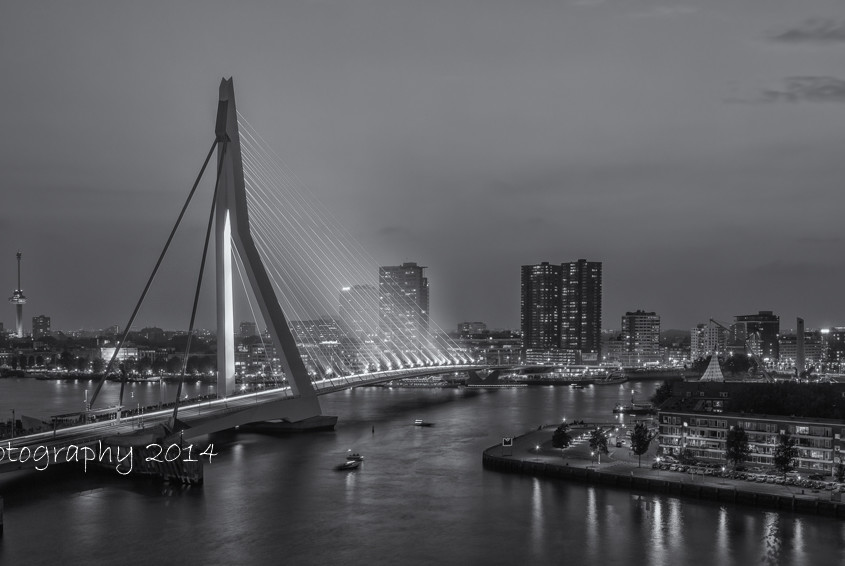 Rotterdam skyline foto - Erasmusbrug by Night | Tux Photography