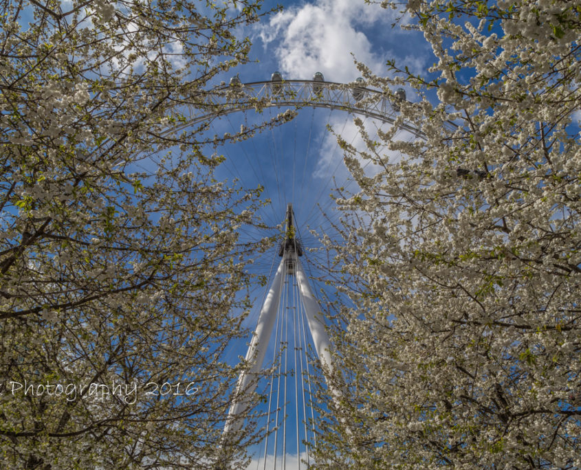Foto's Londen - London Eye | Tux Photography